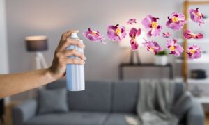 Best room fresheners to ensure ambient and fragrant indoors