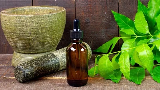 11 Best Ayurvedic Creams in India for Oily Skin