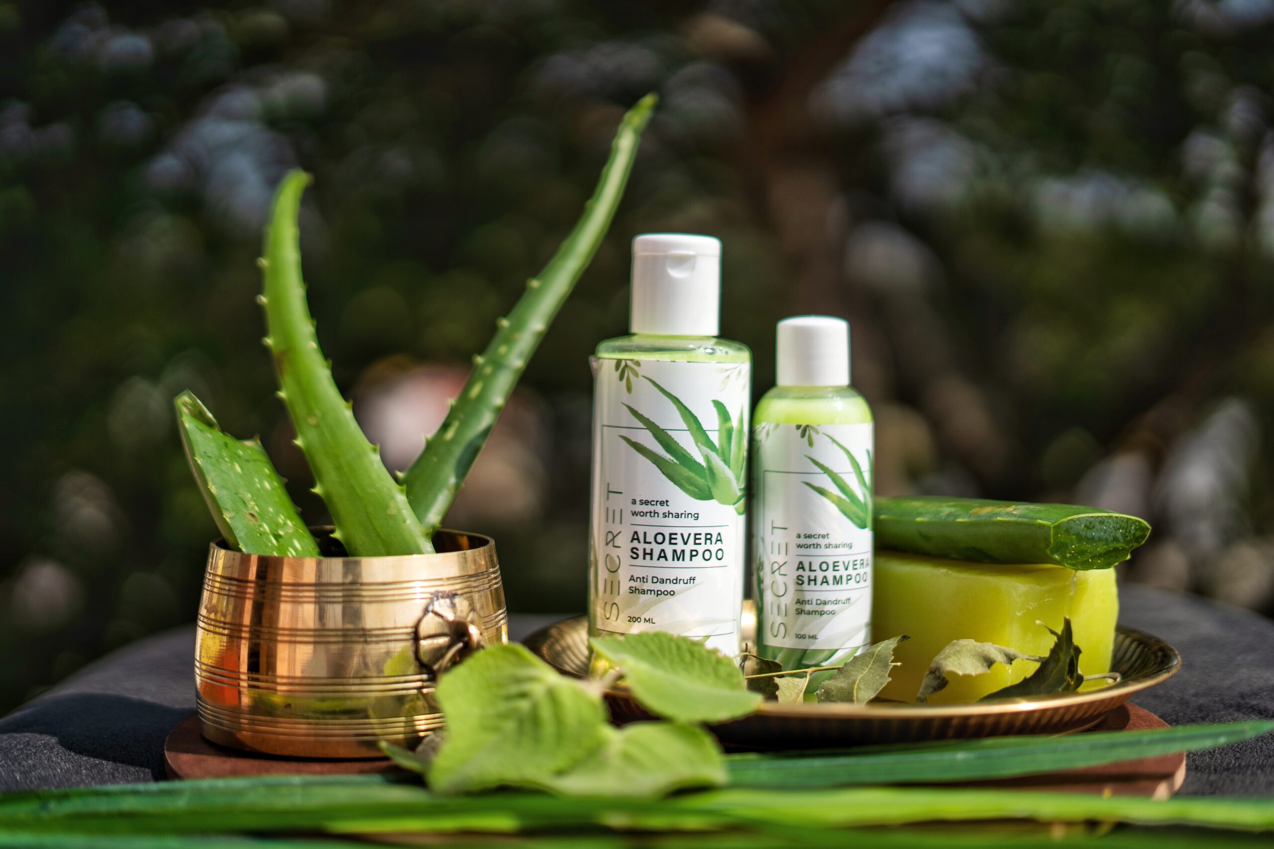 13 Best Aloe Vera Gels for Face in India