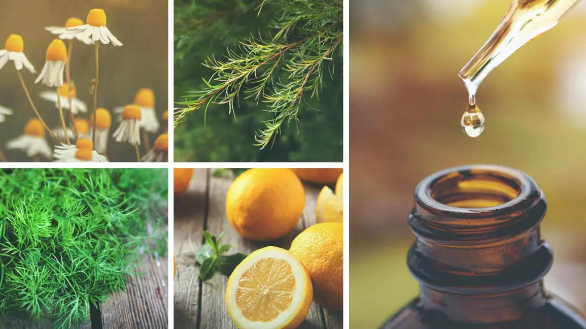 12 Best Massage Oils for Babies To Pamper Them