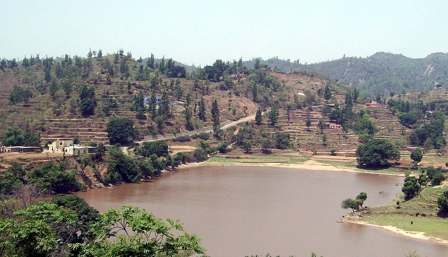 Best Hill Stations Near Delhi Within 5 Hour Drive